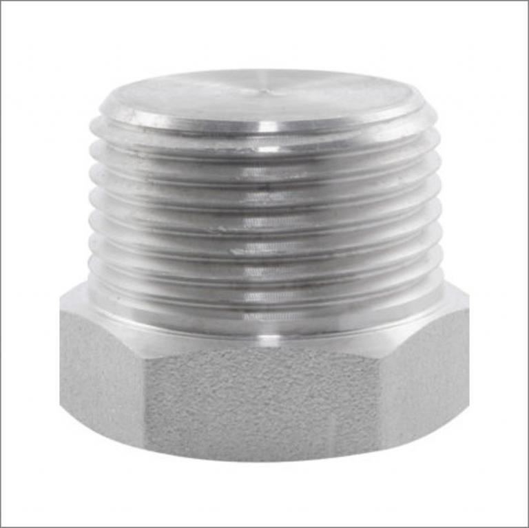 Full Socket BSPP Stainless Steel Pipe Dream Fittings Ltd