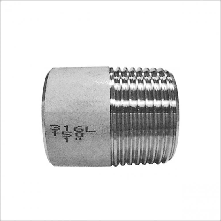 Full Socket BSPP Stainless Steel Pipe Dream Fittings Ltd