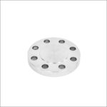 stainless-steel-300LB-BLIND-FLANGE-316L