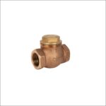 Bronze-Lift-Check-Valve-BSPP-Female-Female-Ends