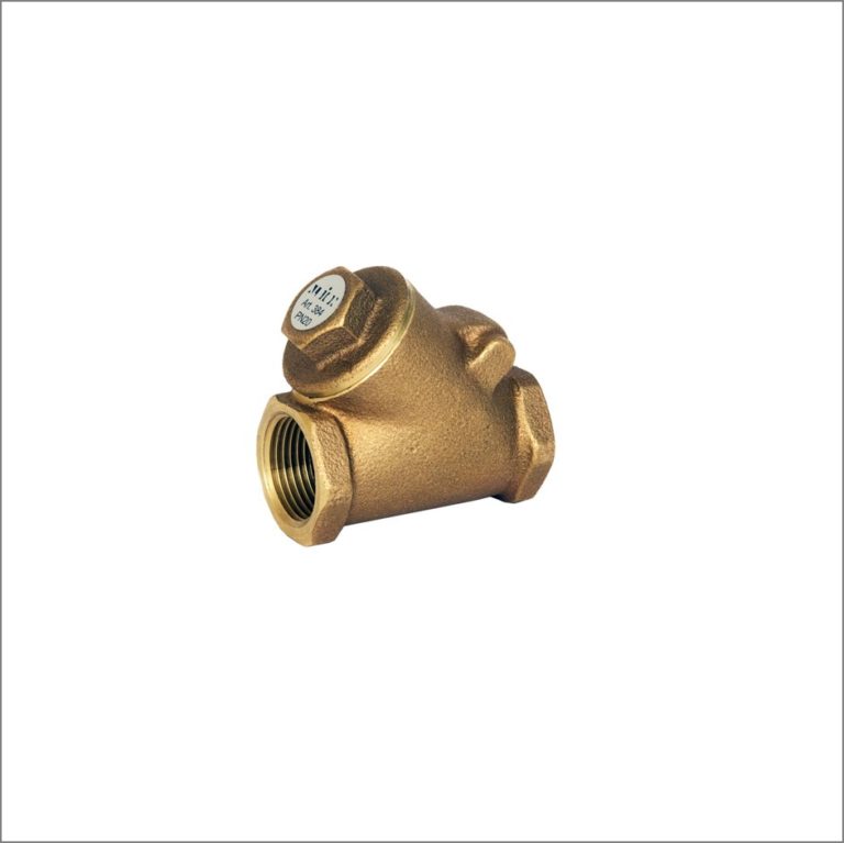 Bronze Swing Check Valve BSP Taper F/F Ends Pipe Dream Fittings