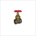 PN20-DZR-Brass-Gate-Valve